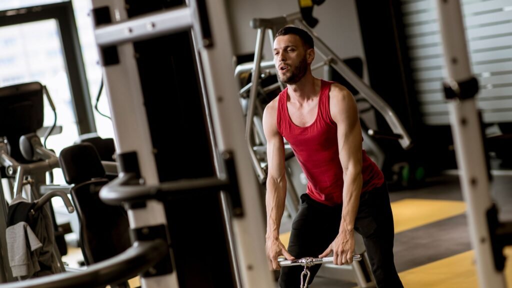 gym workout exercises