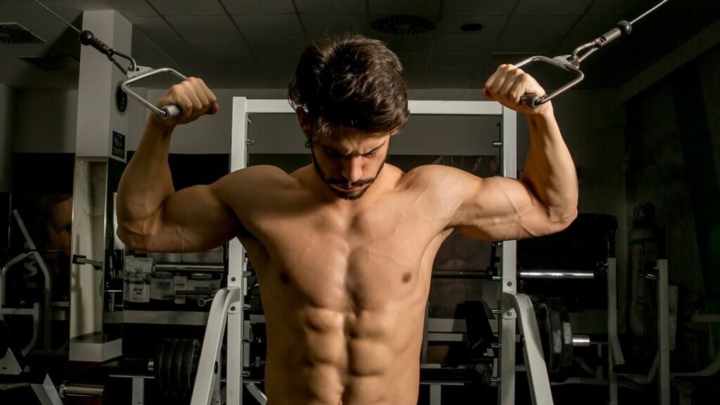 arm workout exercises