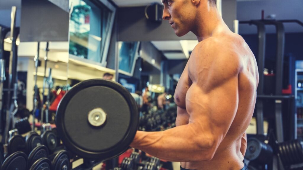 biceps workout