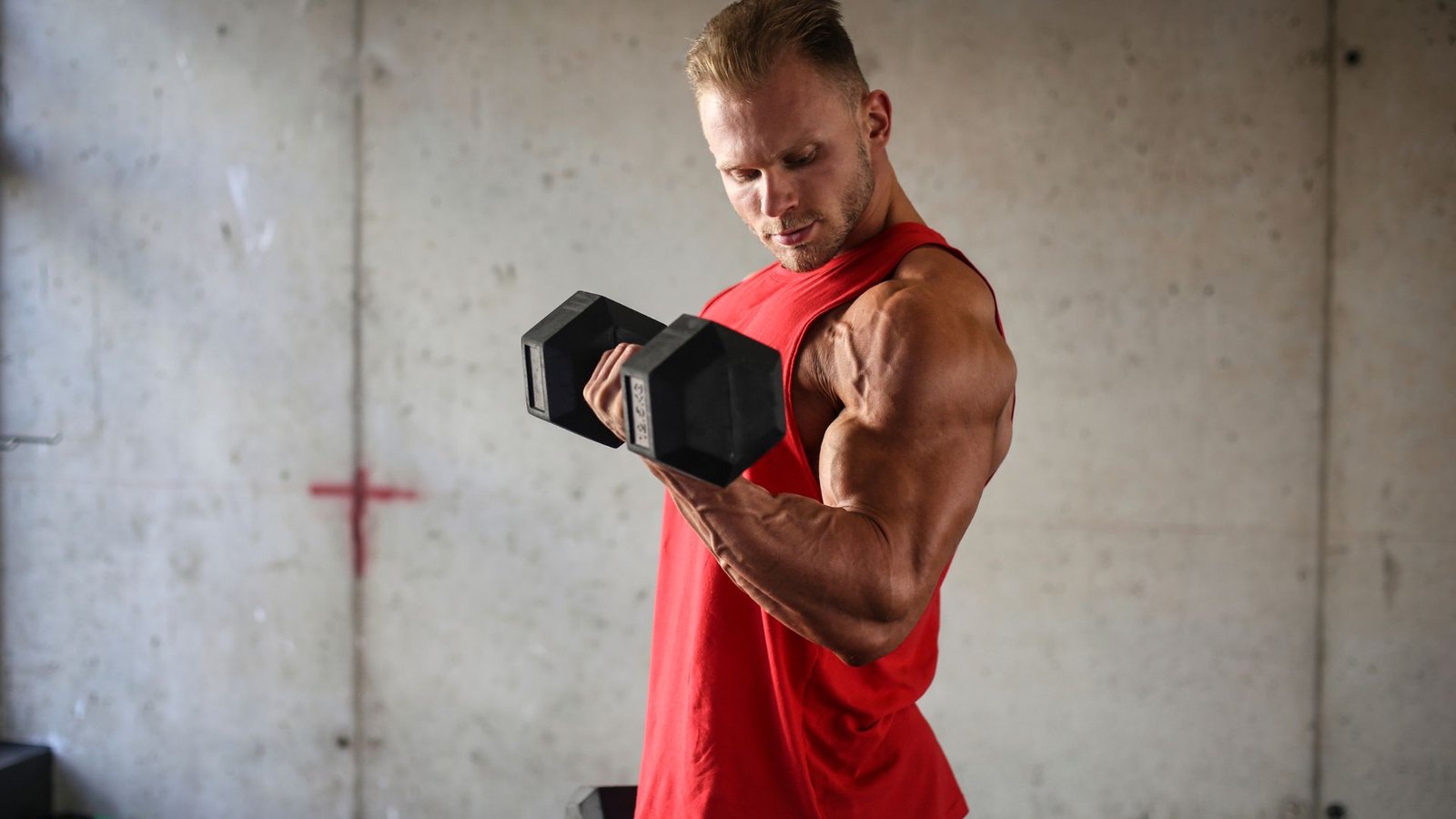 biceps workout with dumbbells