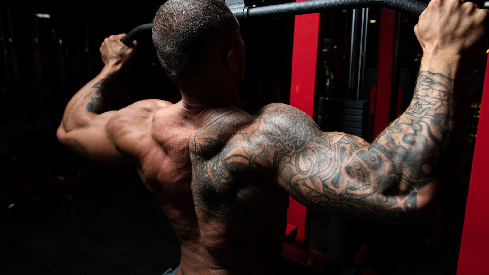 back and bicep routine